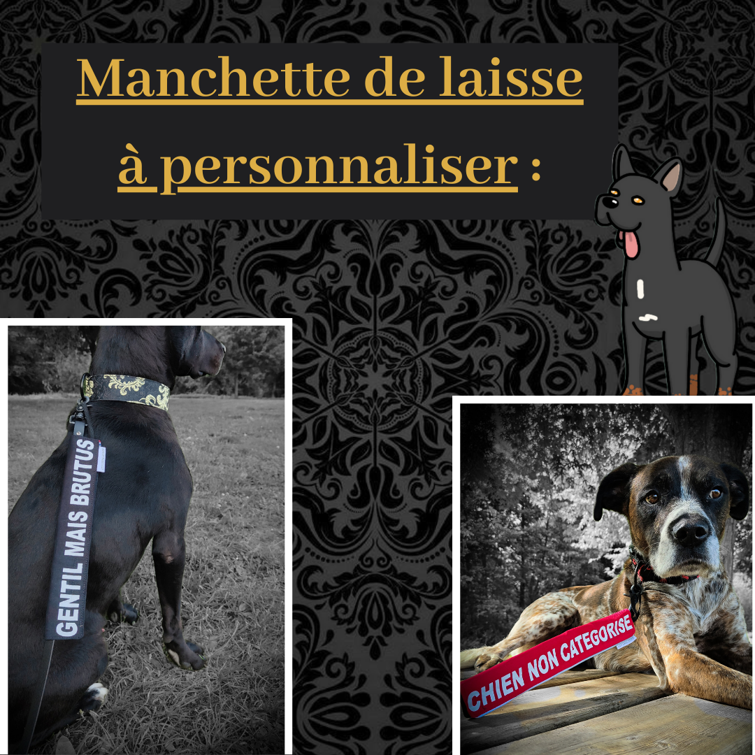 Manchette de laisse à personnaliser
