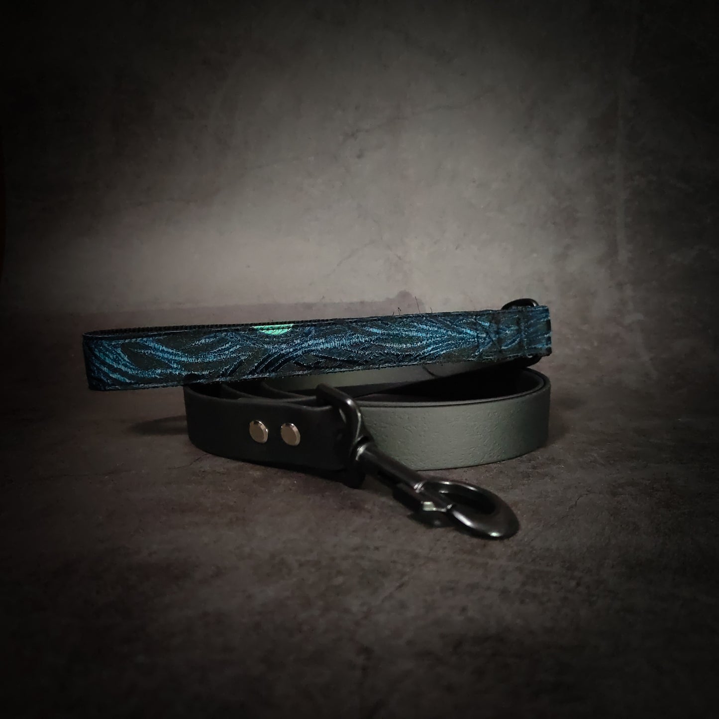 Laisse pour chien : collection Clair Obscur