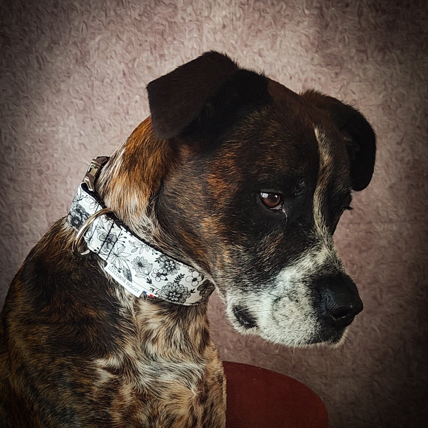 Collier pour chien pivoine noir et blanc