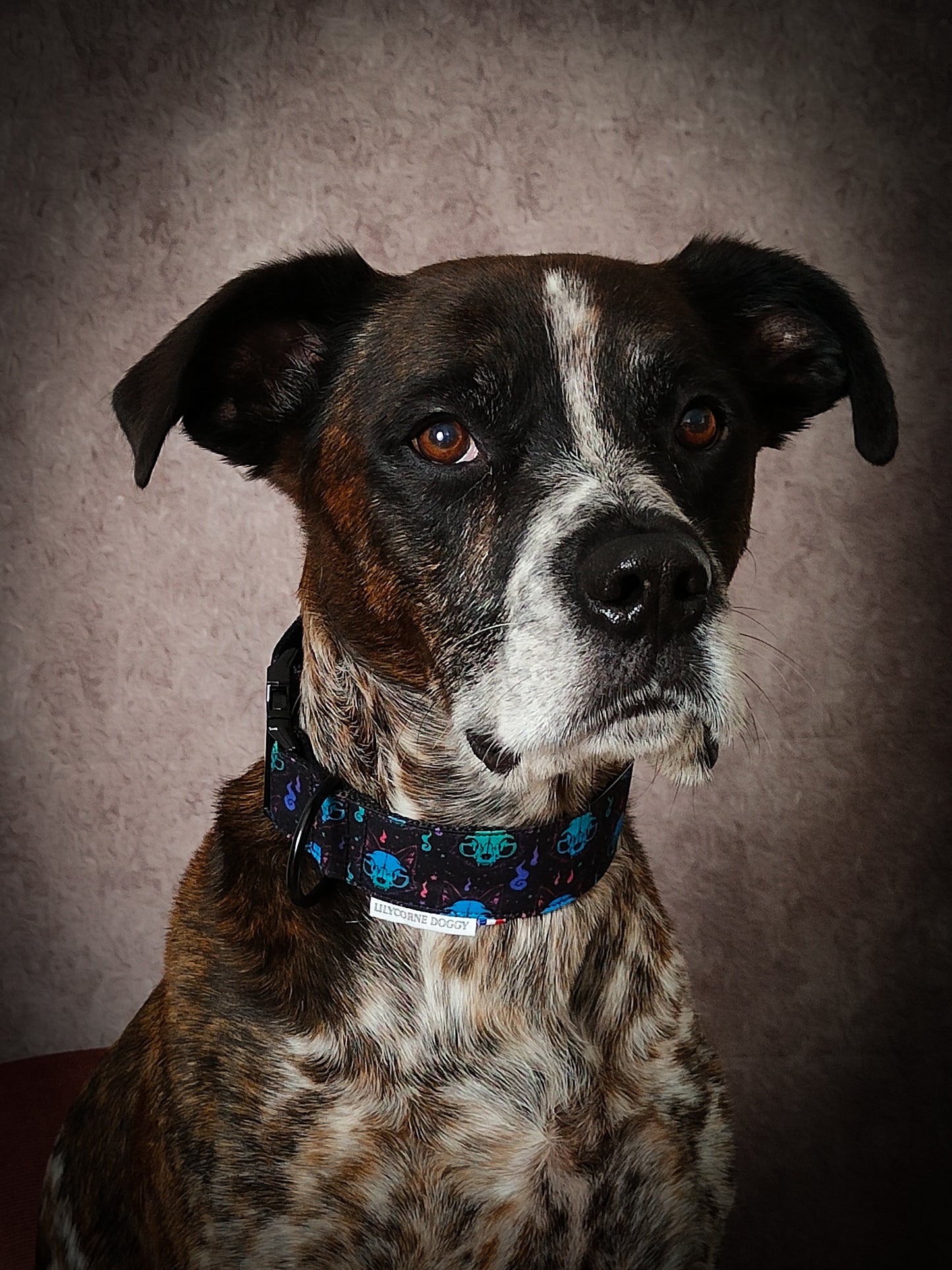 Collier pour chien atypique : Fenrir l'esprit du loup