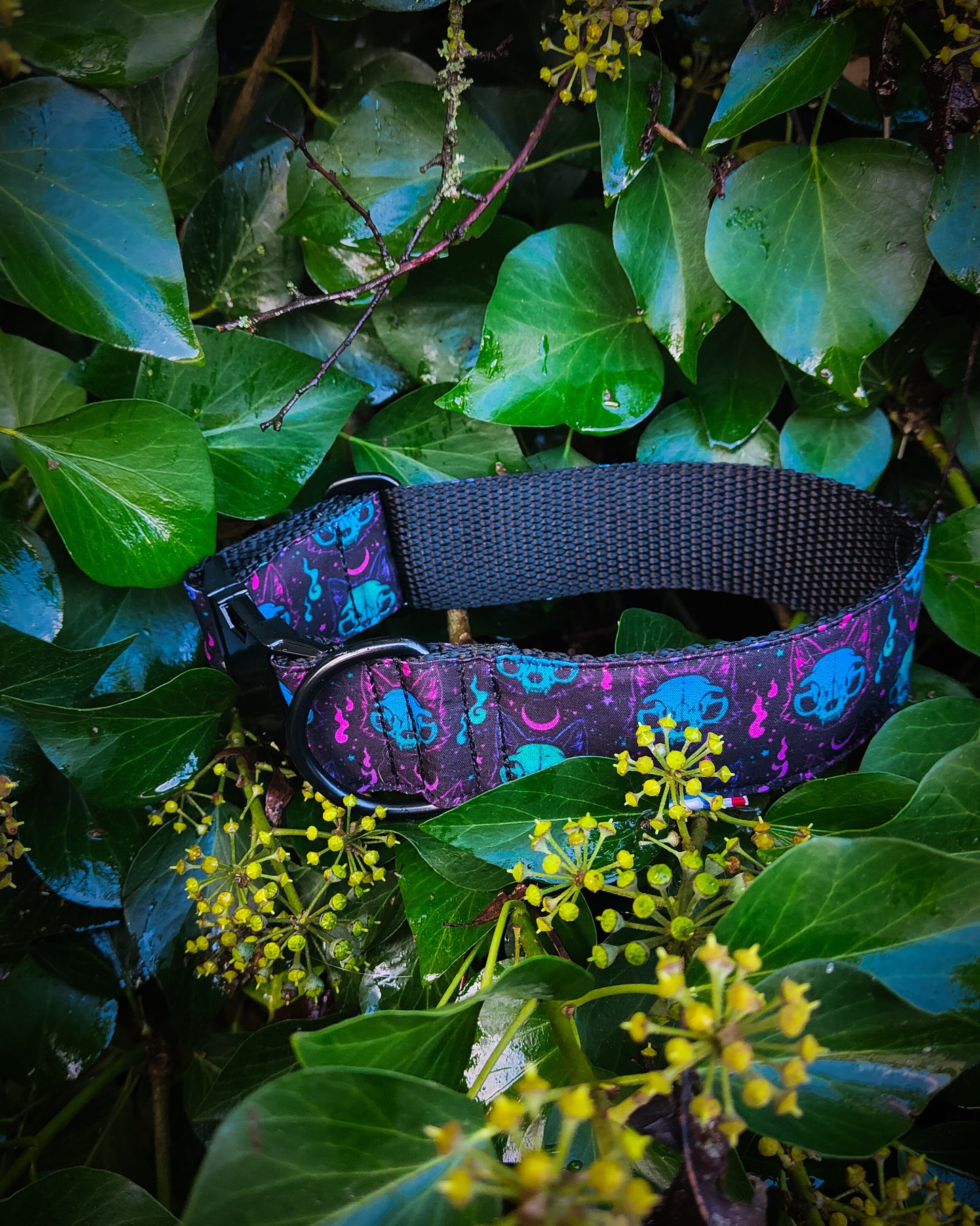 Collier pour chien atypique : Fenrir l'esprit du loup