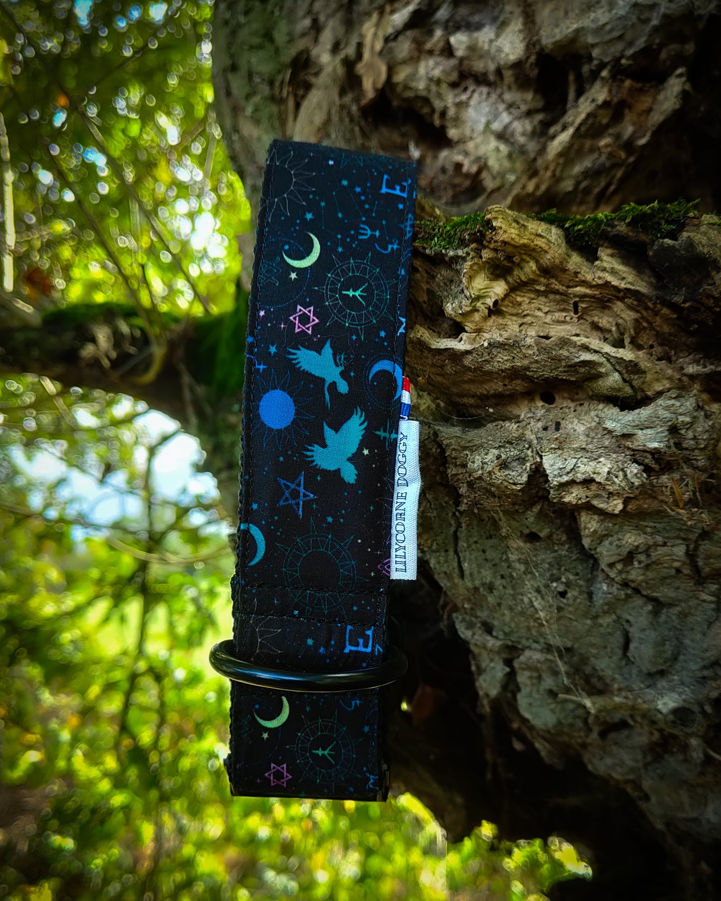 Collier pour chien atypique : L'Envol des Runes