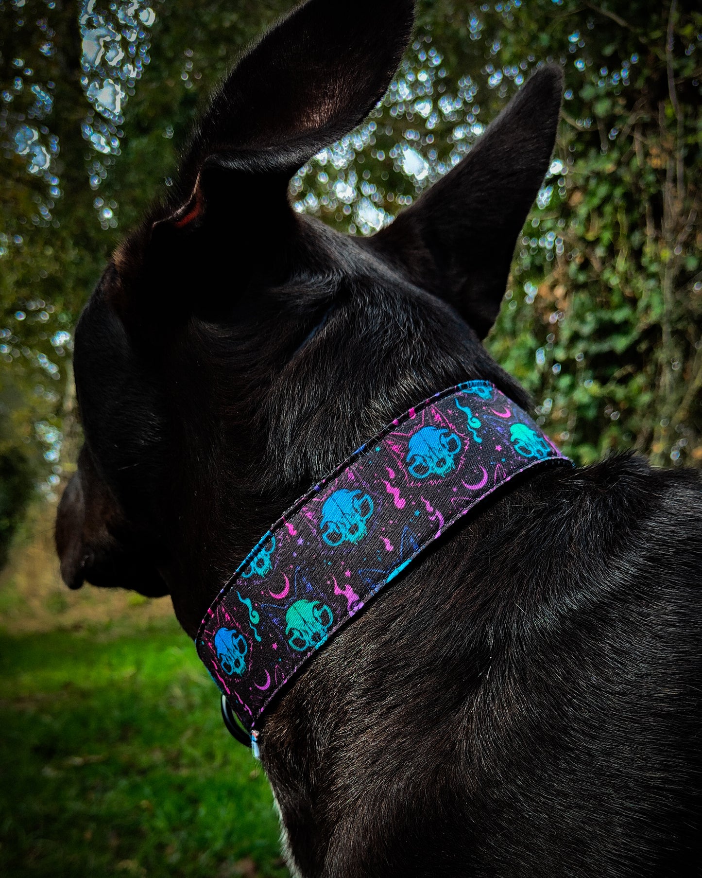 Collier pour chien atypique : Fenrir l'esprit du loup