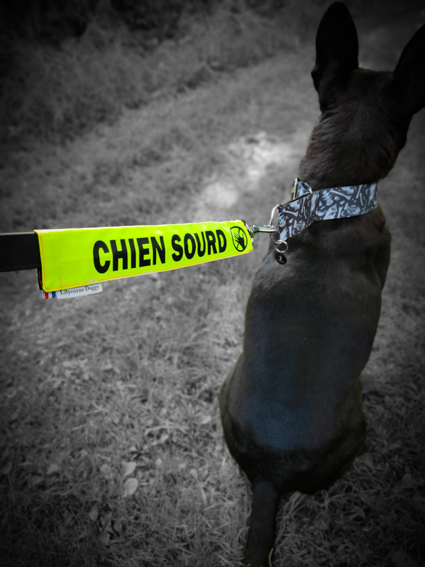 Manchette CHIEN SOURD