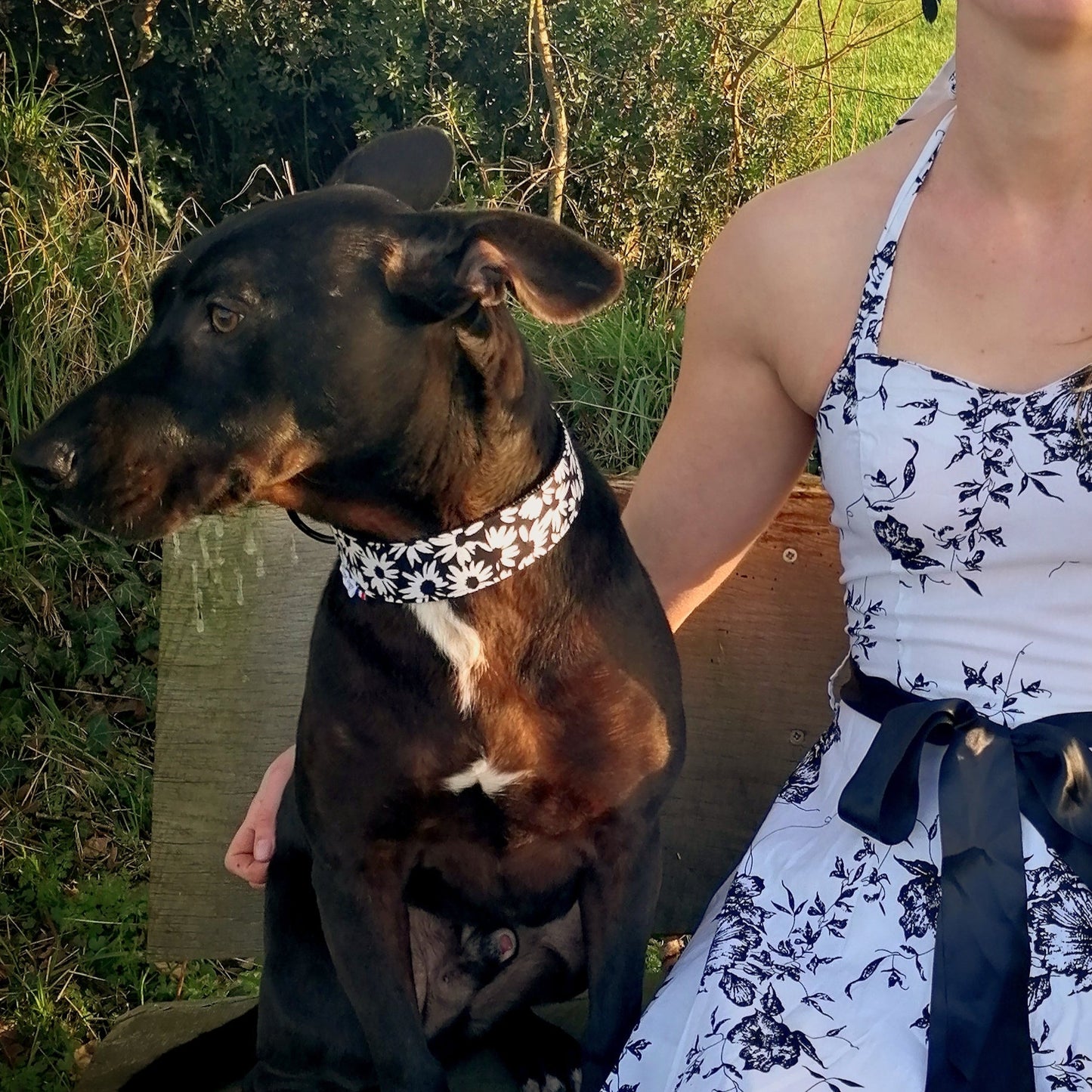 chien de type malinoi noir qui porte un collier marguerite accompagné de sa maîtresse avec une robe à fleurs assortie de la marque H&R London