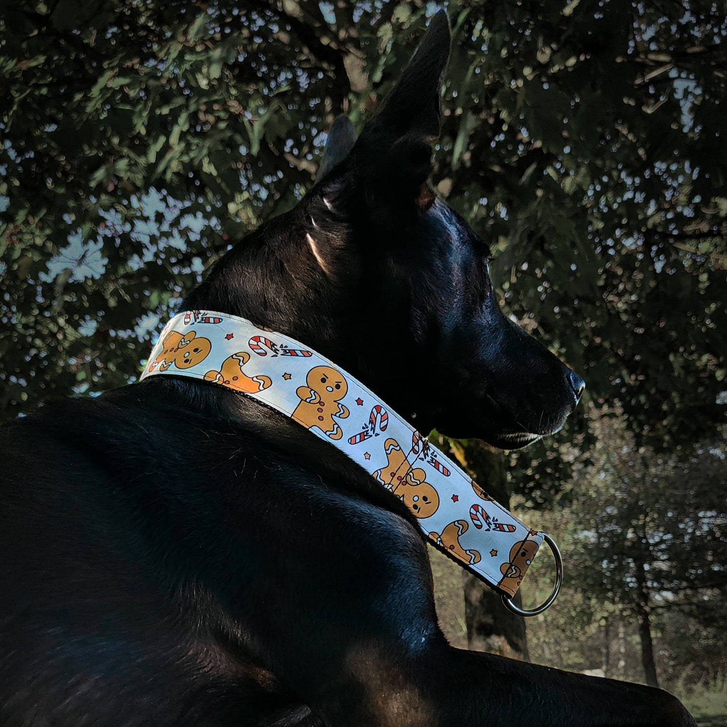 un chien noir avec un collier pour chien de noel avec un motif pain d'épice de noel comme ti biscuit dans shrek. Il casse des sucres d'orge