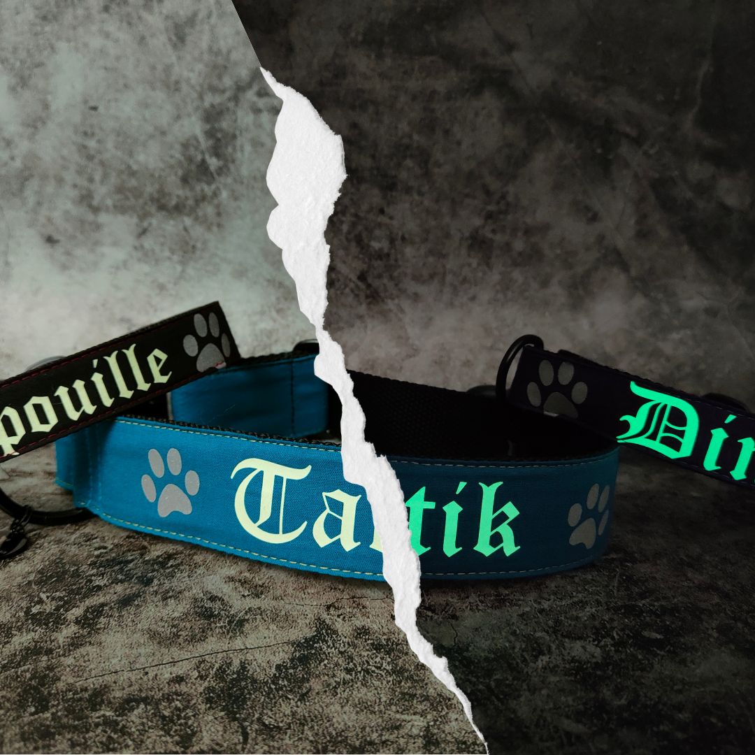 collier personnalisé pour chien avec son prénom, il est fait main en bleu canard, noir et violet. Le collier s'illumine dans la noir.