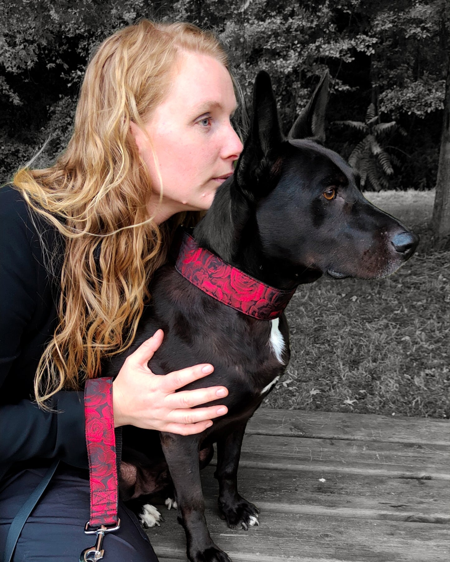 Collier pour chien : Darkness