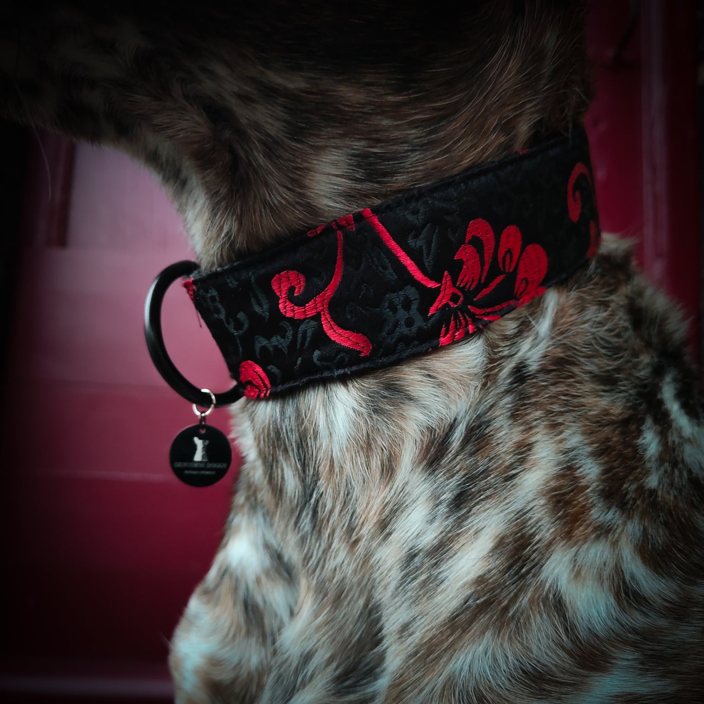 Collier pour chien : Adélaïde