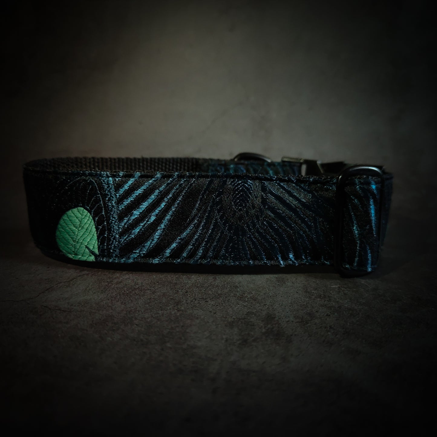 Collier pour chien : Douglas