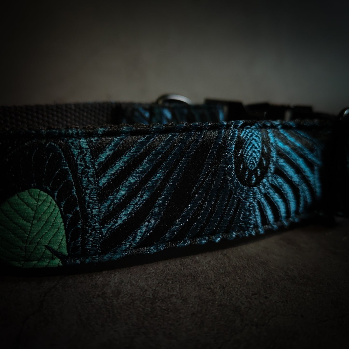Collier pour chien : Douglas