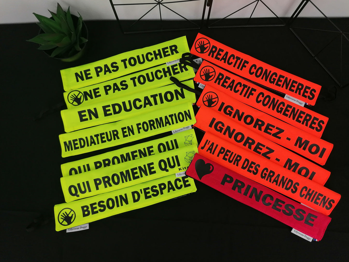 Manchette de laisse : CHIEN REACTIF