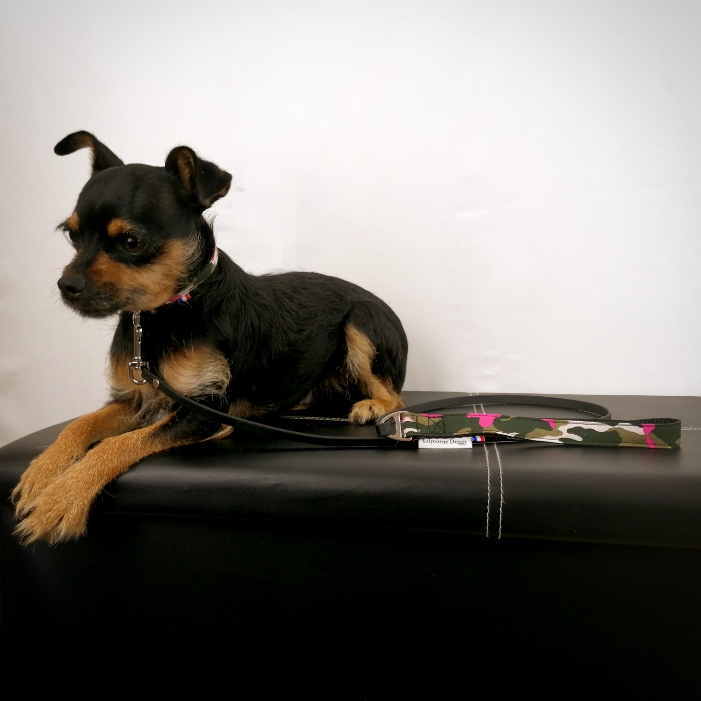 Laisse pour chien : militaire rose Girly'cam