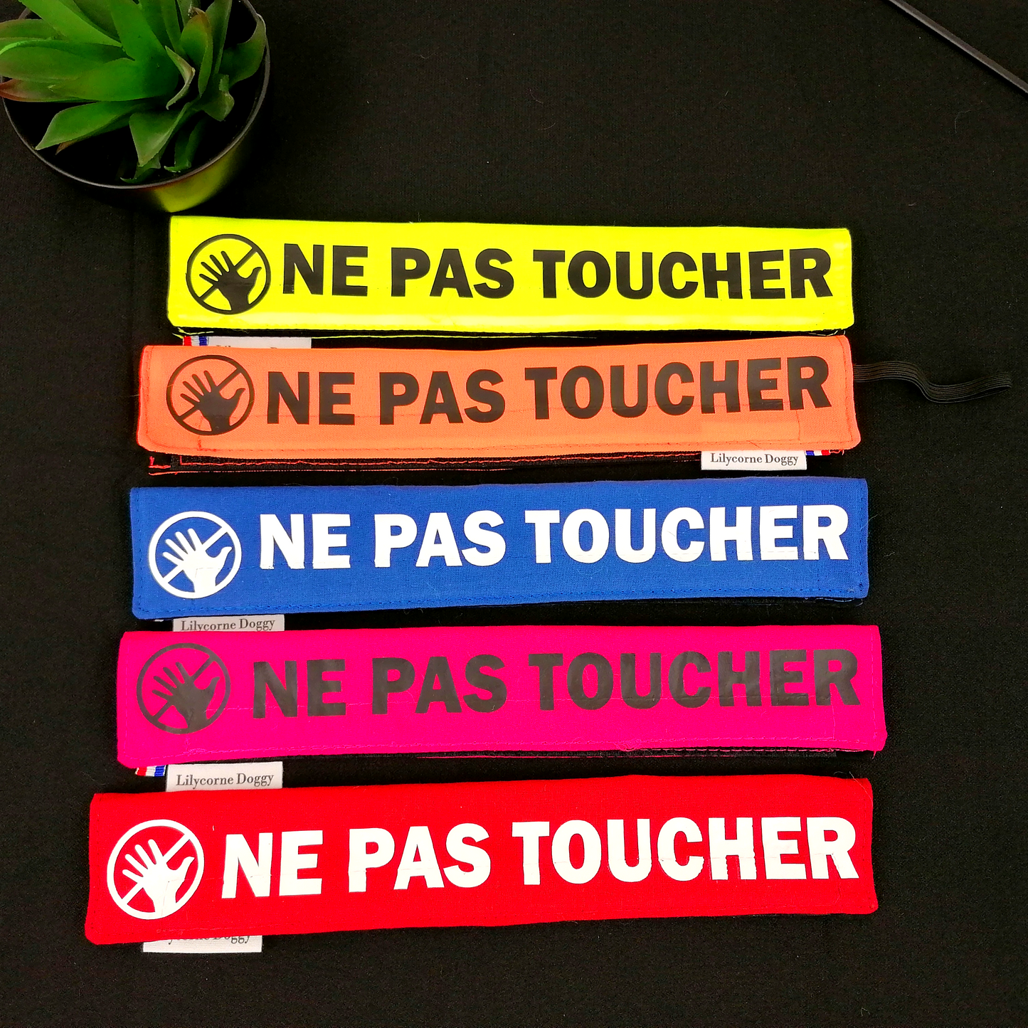 Manchette de laisse NE PAS TOUCHER