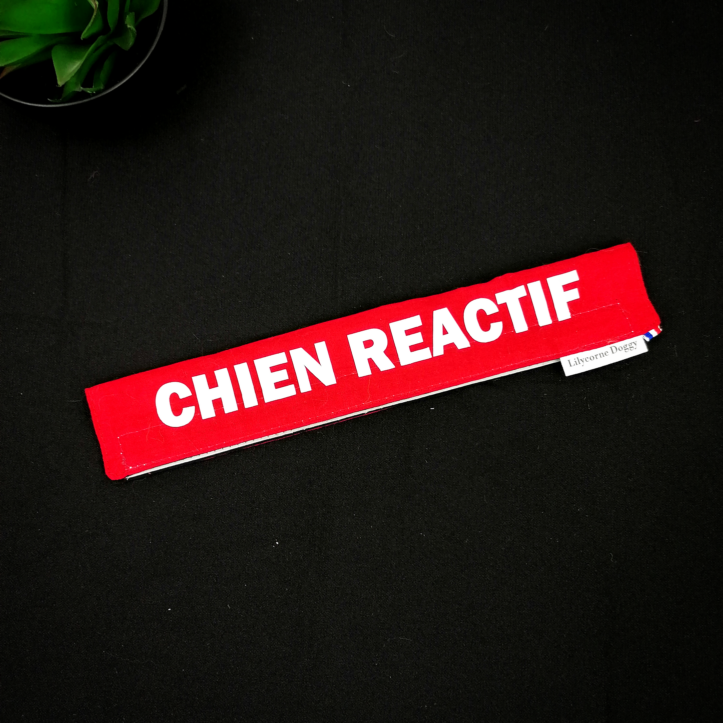 Manchette de laisse : CHIEN REACTIF
