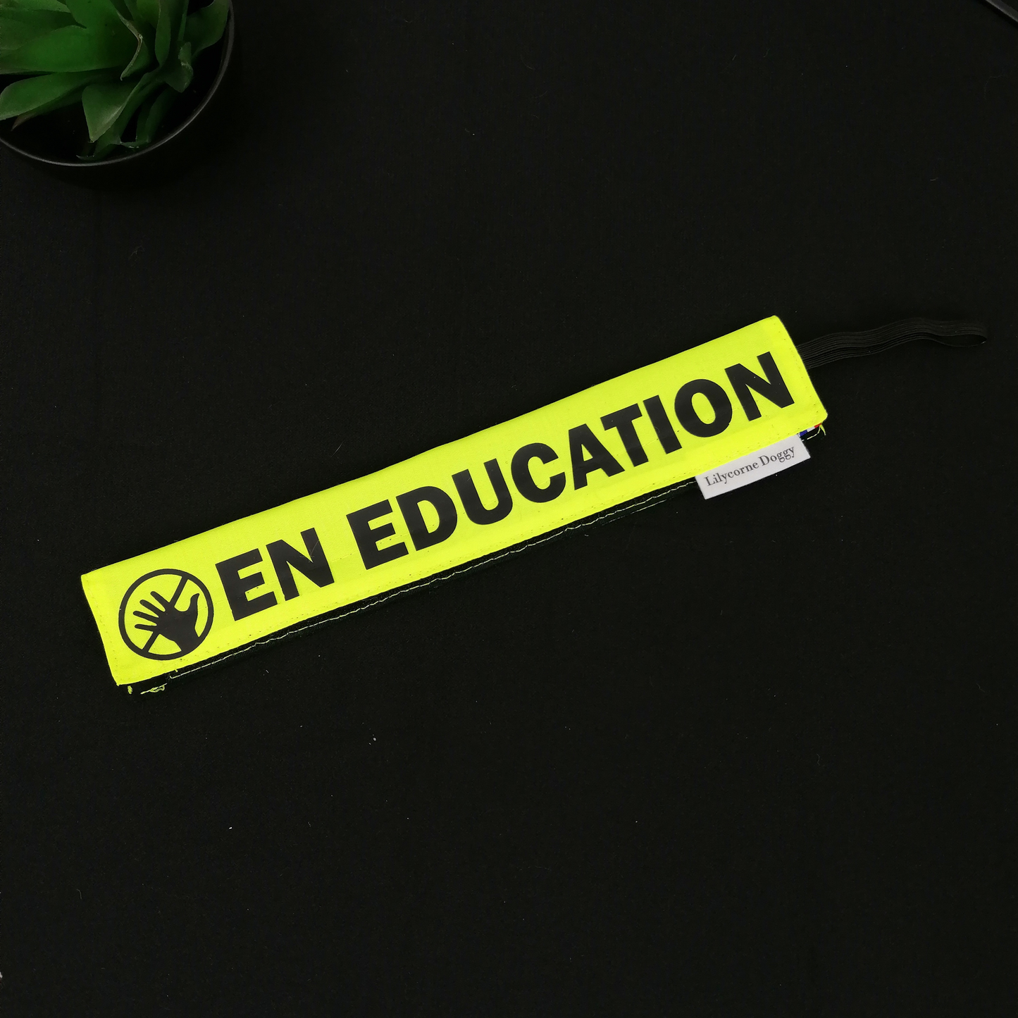 Manchette de laisse : EN EDUCATION