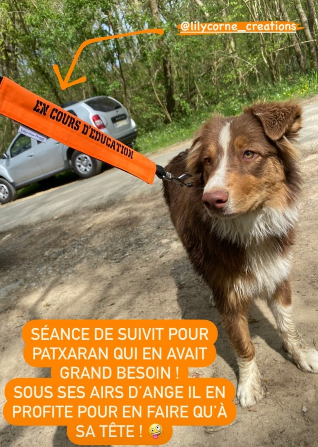 Manchette de laisse : EN EDUCATION