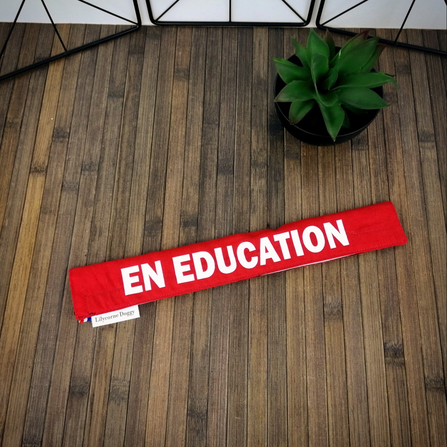 Manchette de laisse : EN EDUCATION