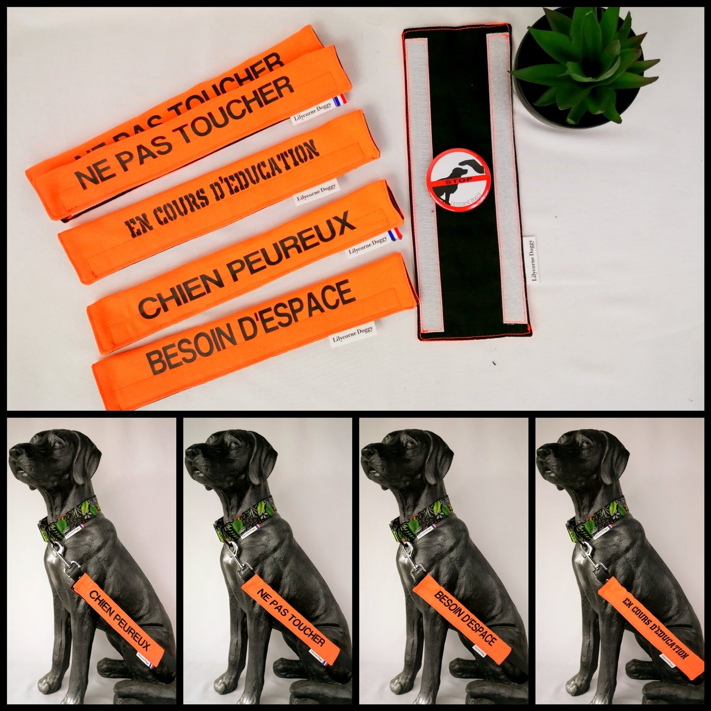 Manchette CHIEN PEUREUX