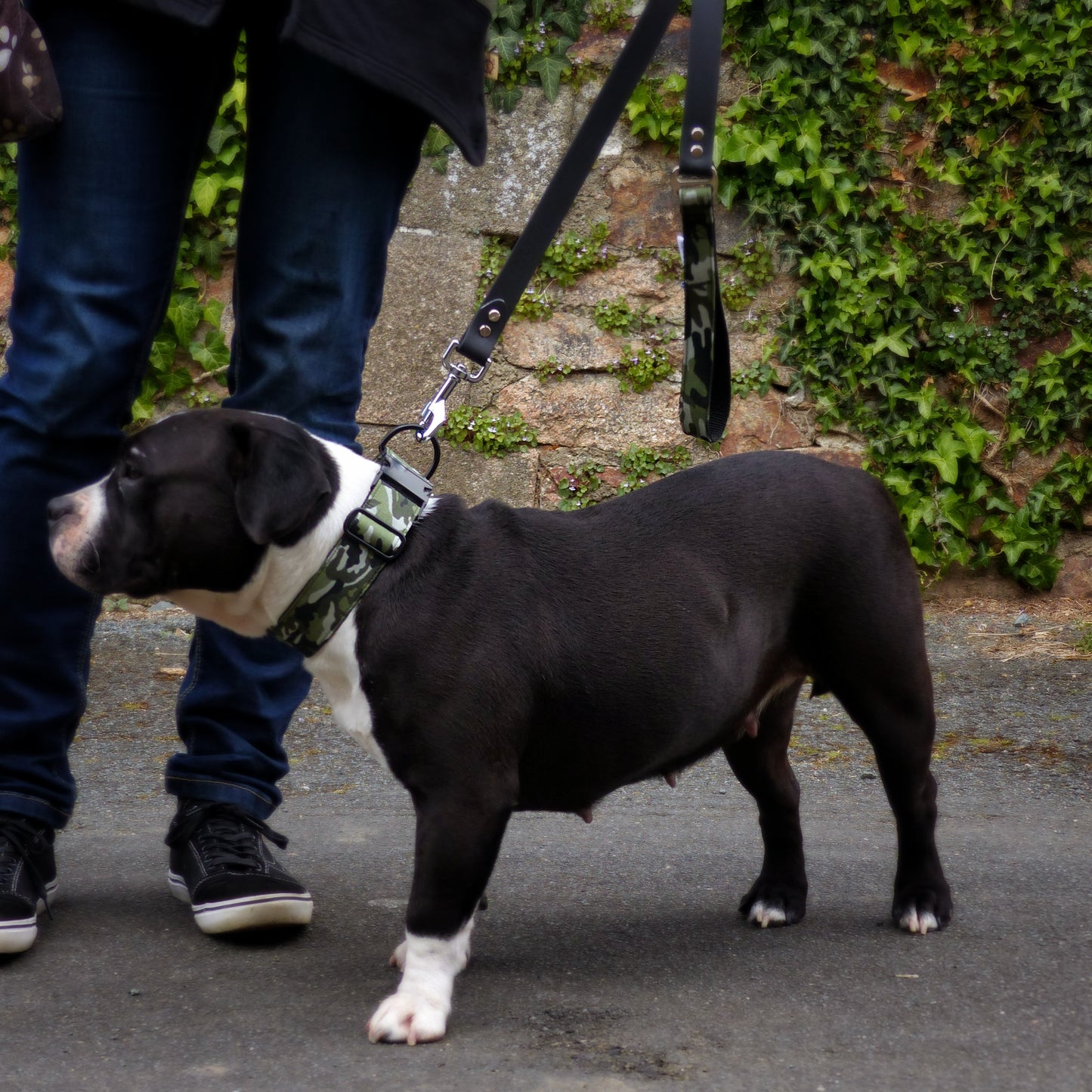 Laisse pour chien : Camouflage militaire