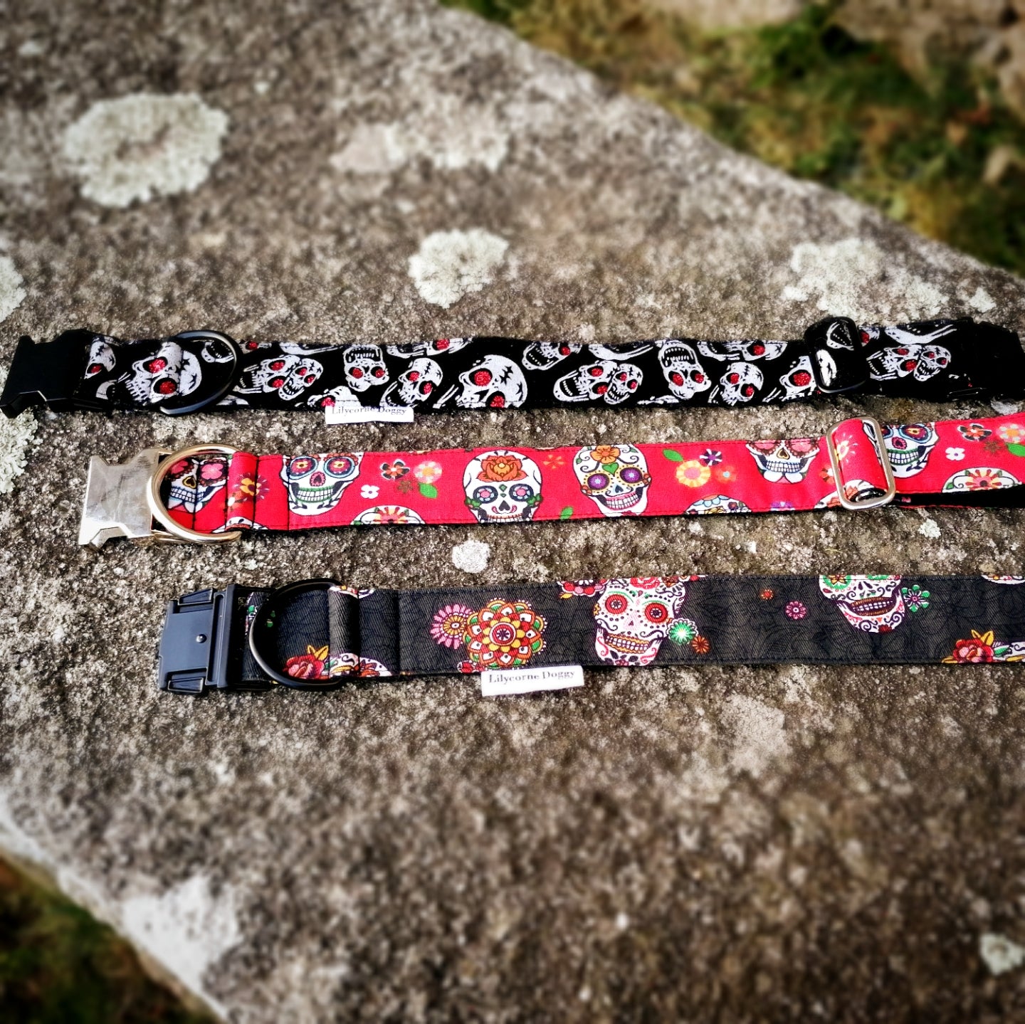 Collier pour chien : calaveras