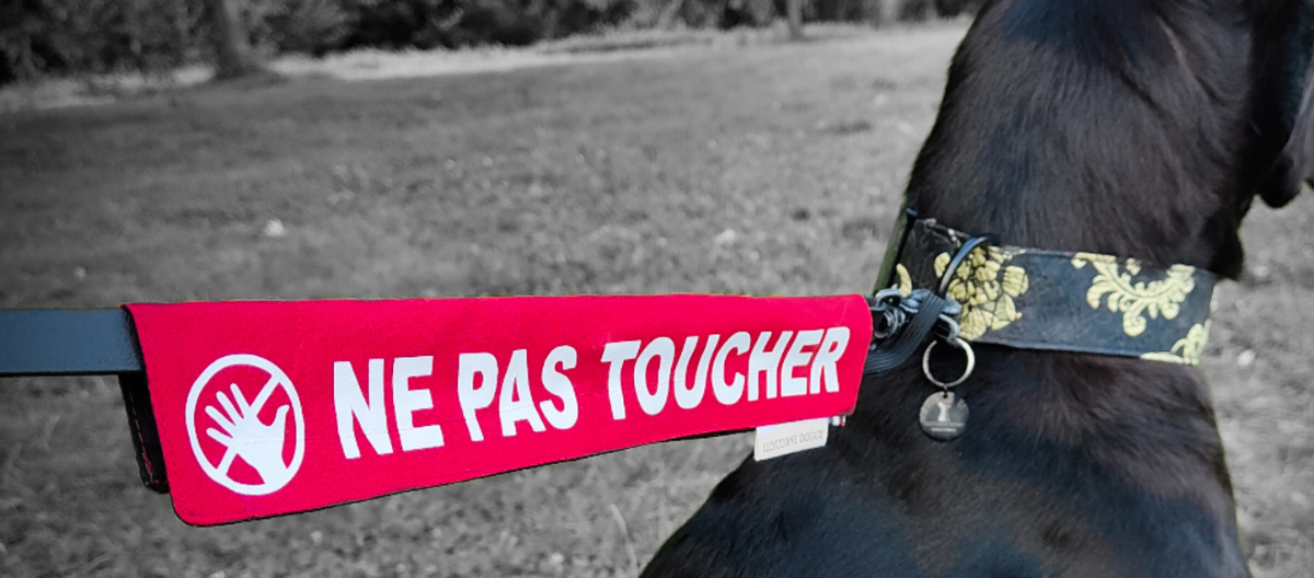 colliers pour chien, accessoires pour chien, manchette de laisse ne pas toucher. Chien noir collier baroque