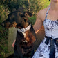 chien de type malinoi noir qui porte un collier marguerite accompagné de sa maîtresse avec une robe à fleurs assortie de la marque  H&R London