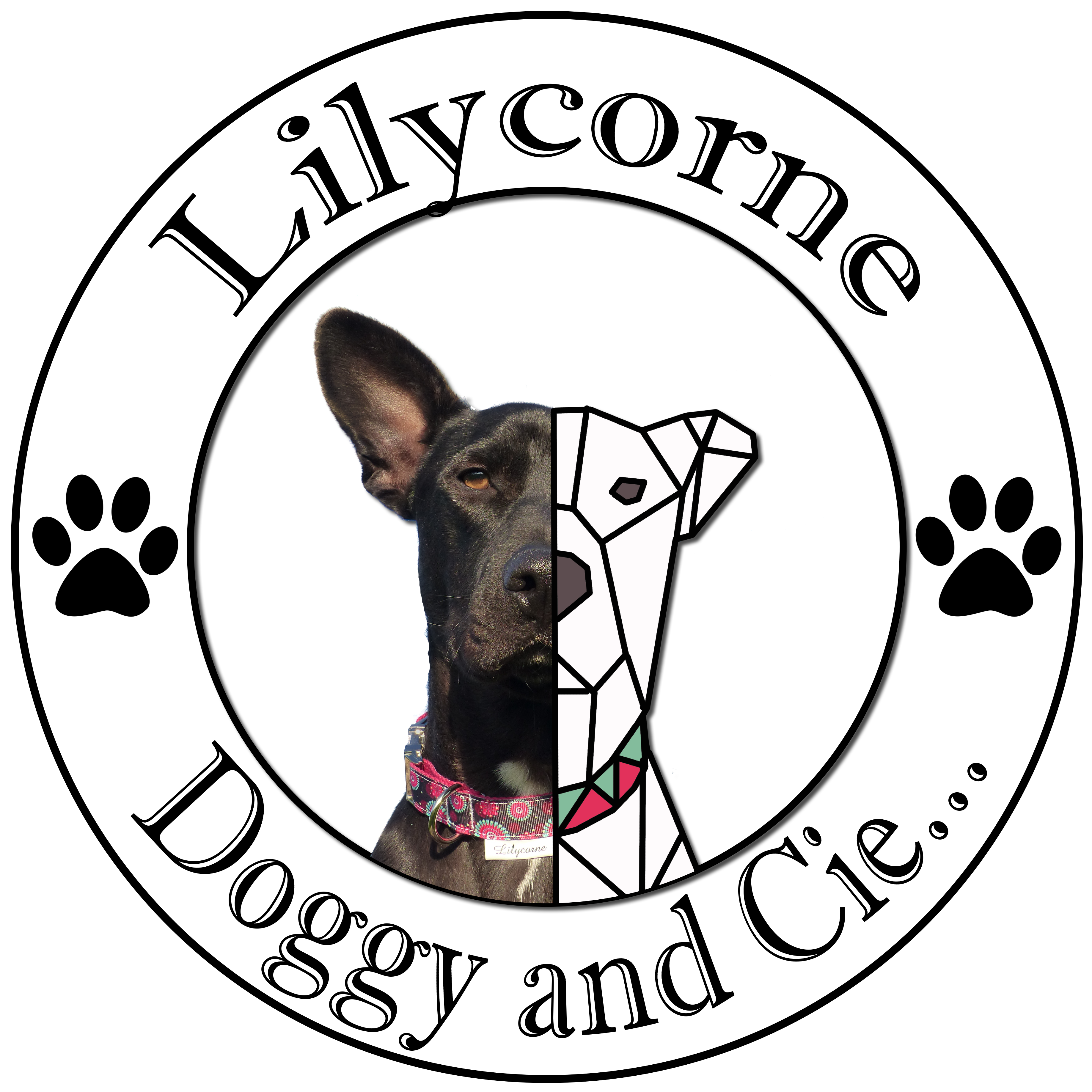 Lilycorne doggy accessoires pour chiens, chats, nac. Vous trouverez des colliers pour chiens, des laisses, des pochettes à friandises, des essuies pattes, des longes. Frabrication française fait main. Peinture personnaslisée chibi 