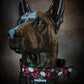 Collier pour chien - Les Jardins Oubliés