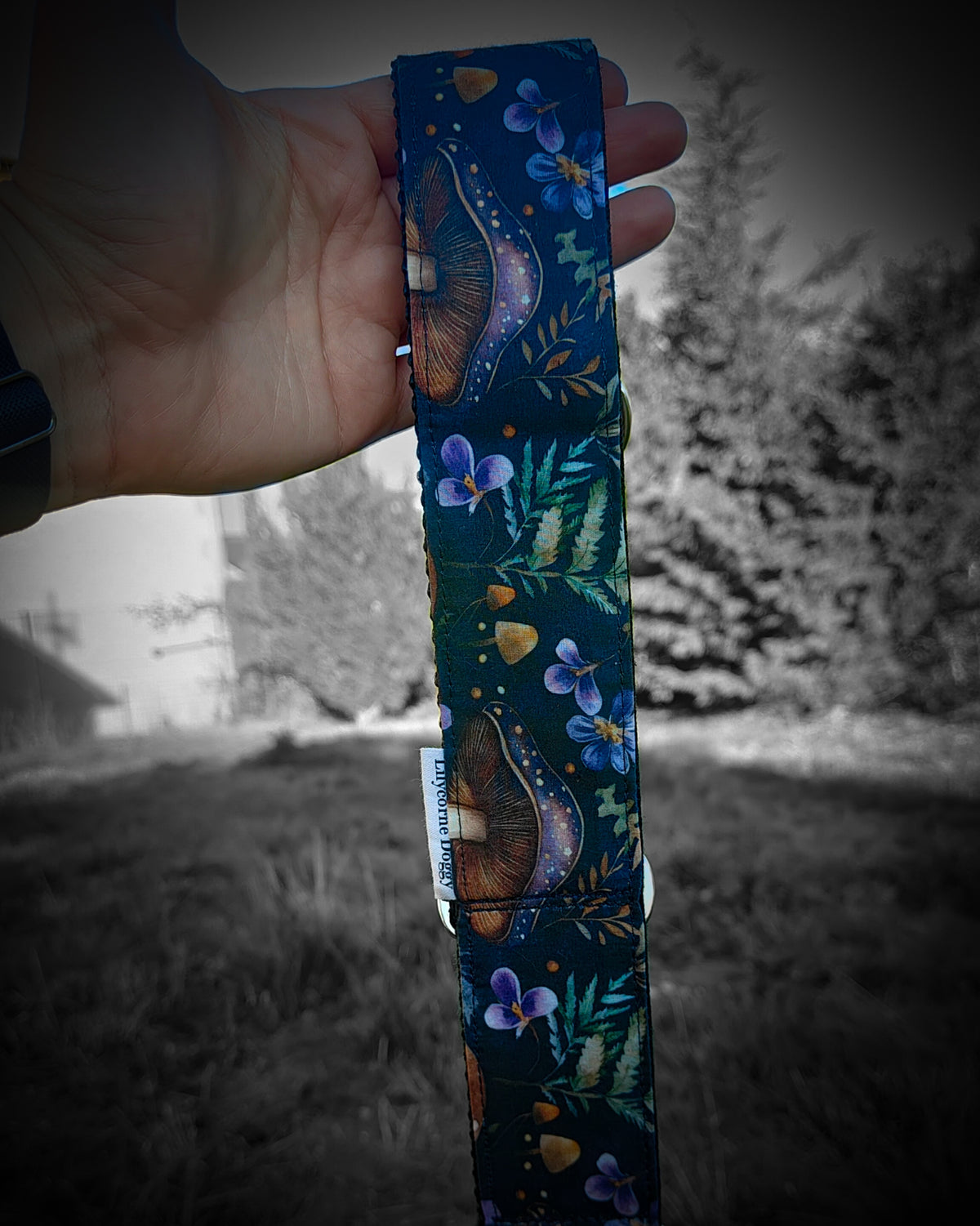 Collier pour chien - Balade Automnale
