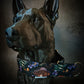 Collier pour chien - Balade Automnale