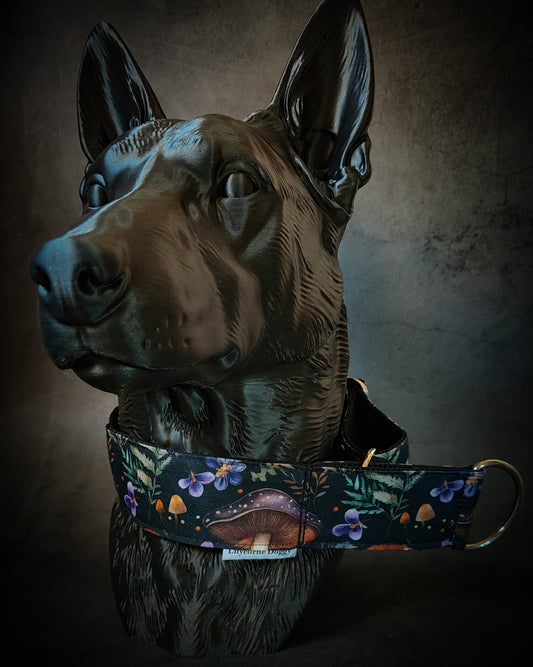 Collier pour chien - Balade Automnale