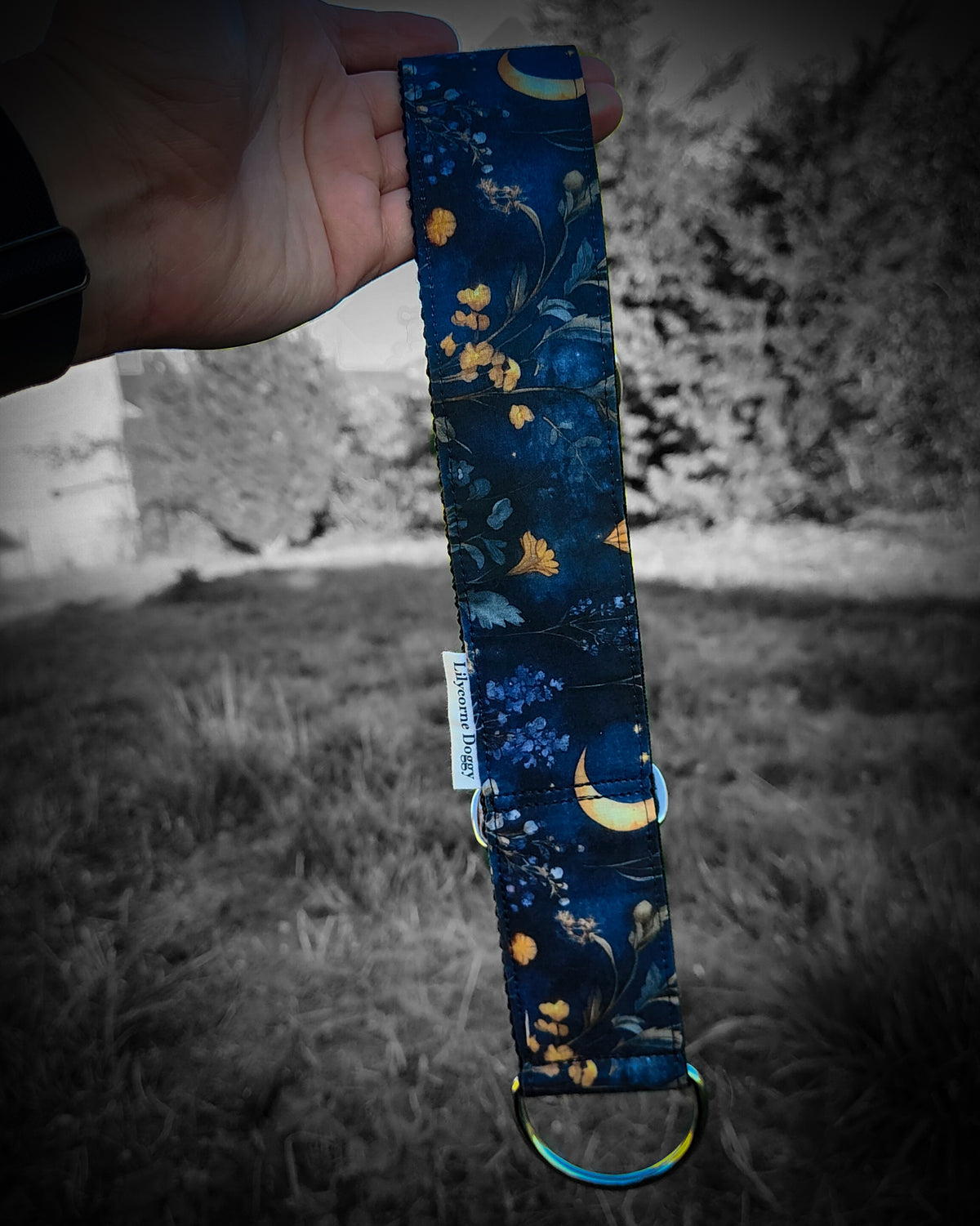 Collier pour chien - Nuit d'automne