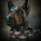 "Les Roses de l’Ombre" Collier pour chien
