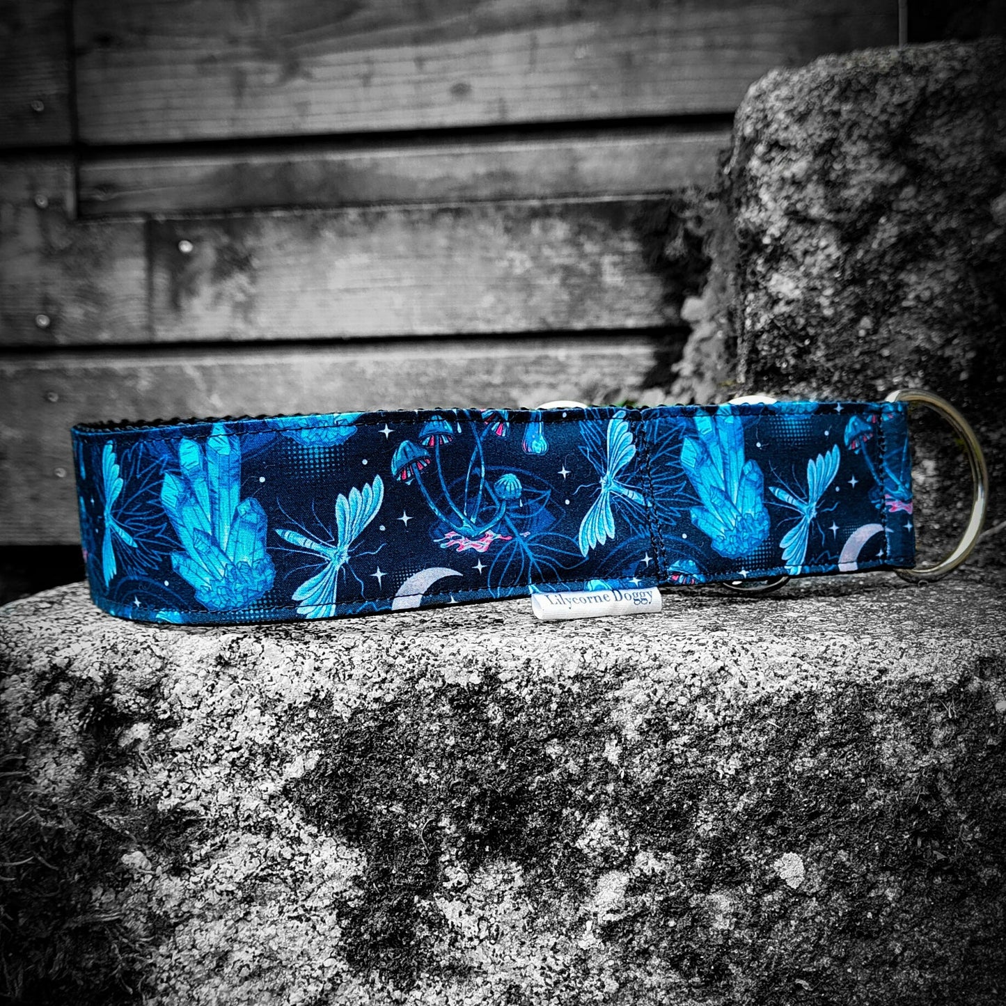 Collier pour chien - Azur