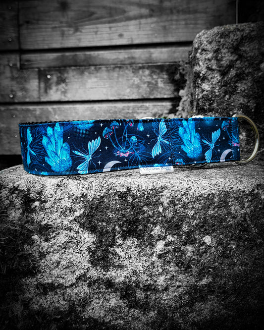 Collier pour chien - Azur