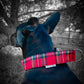 Collier pour chien - Automne Écossais