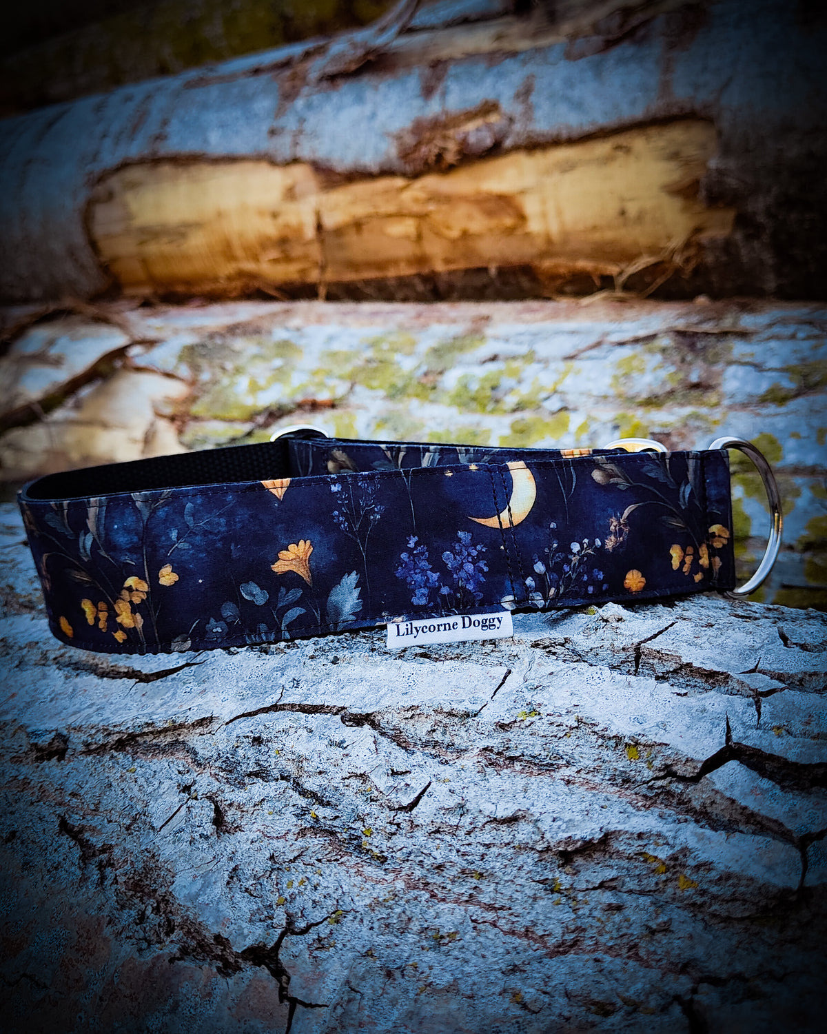 Collier pour chien - Nuit d'automne