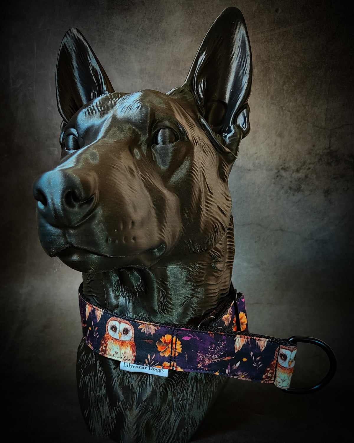 Collier pour chien - Nyra