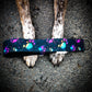 Collier pour chien - Memories