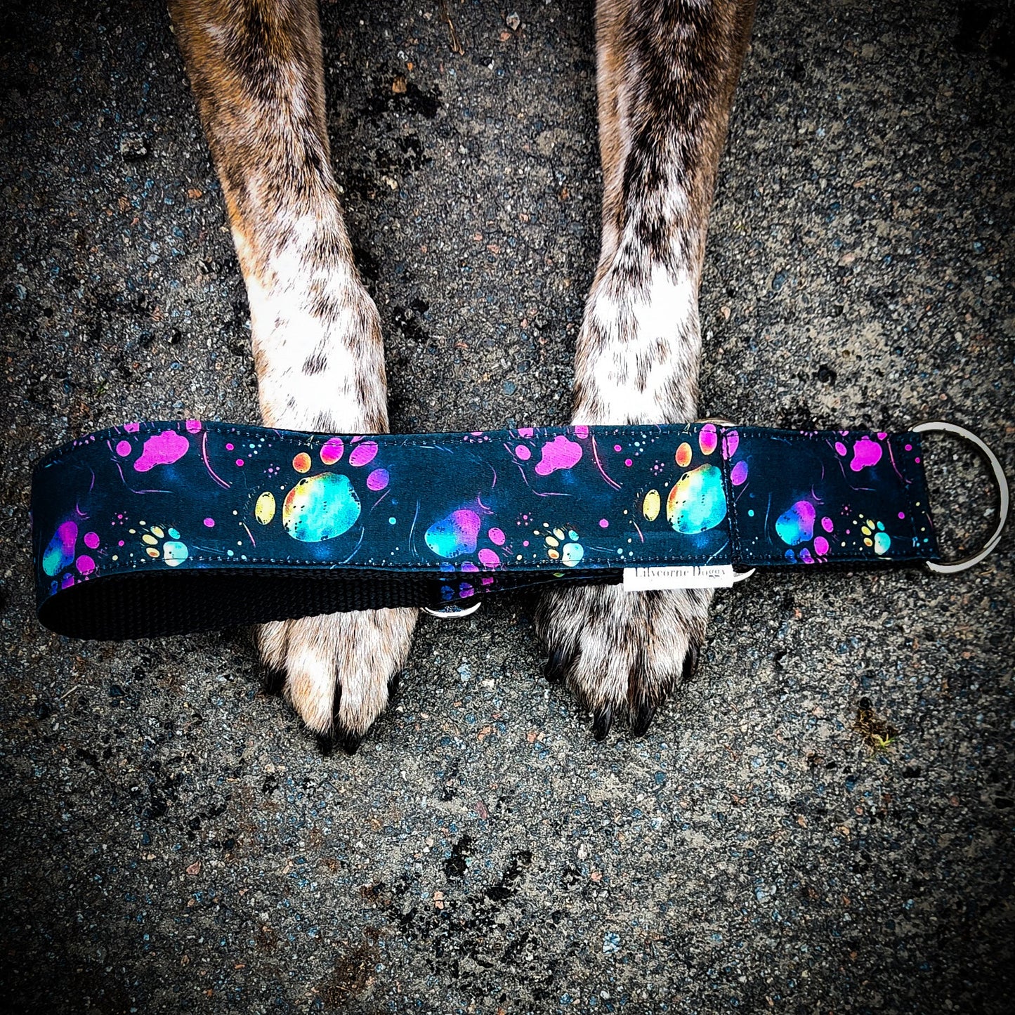 Collier pour chien - Memories