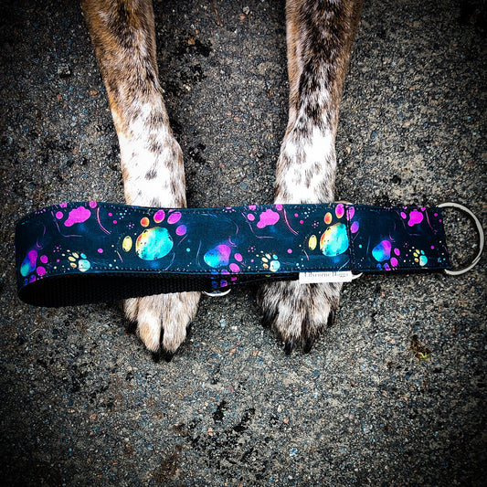 Collier pour chien - Memories