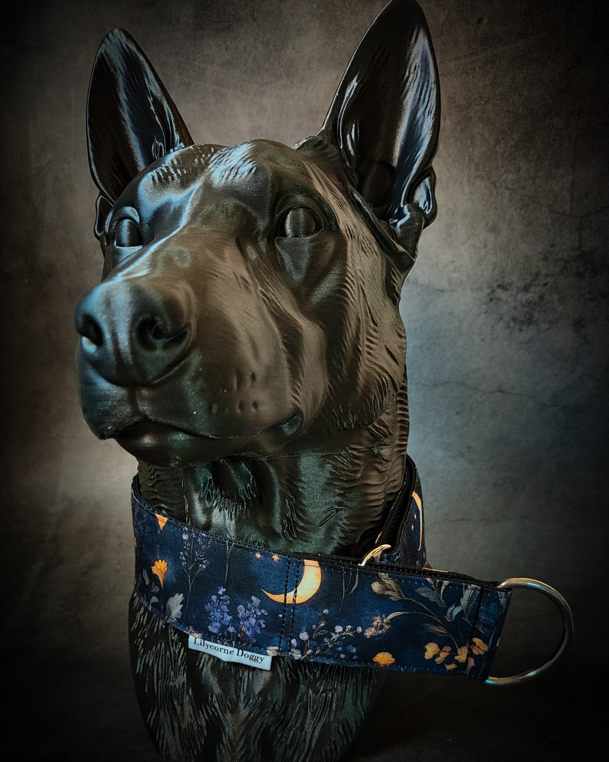 Collier pour chien - Nuit d'automne
