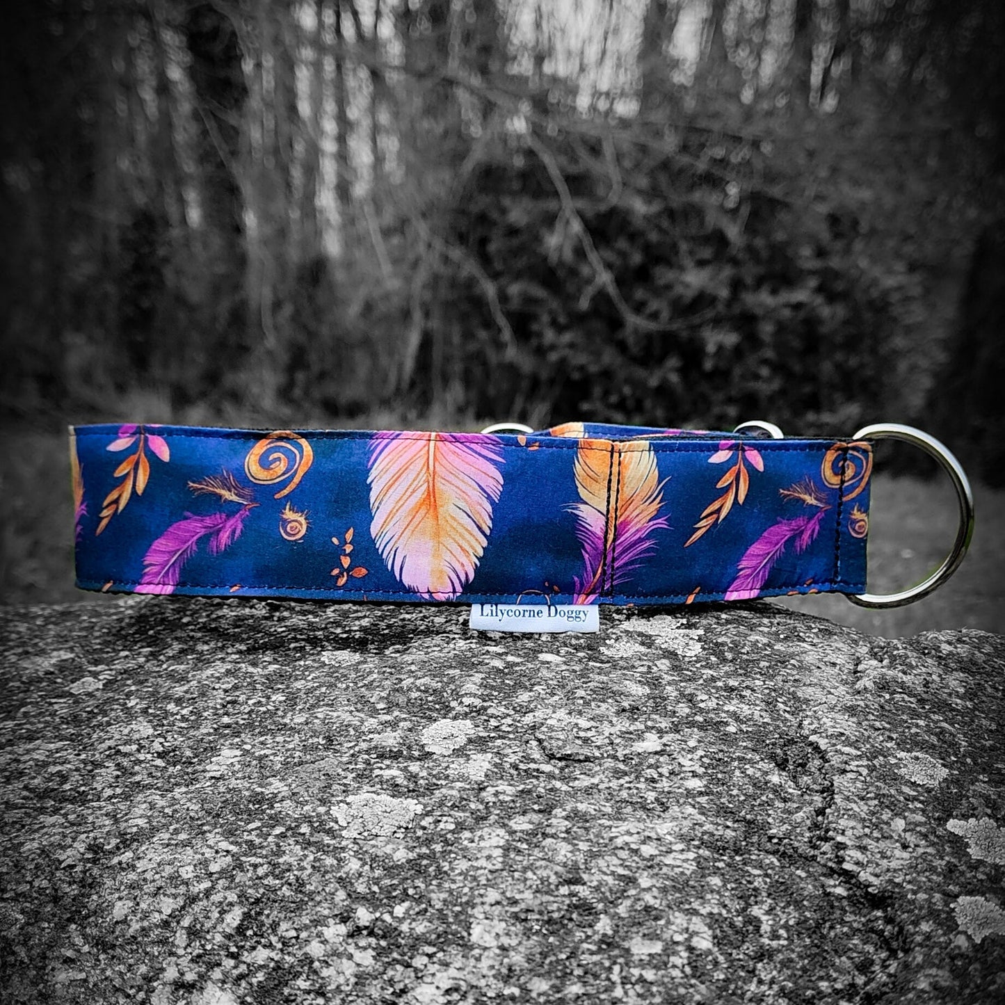 Collier pour chien - Aube
