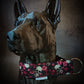 Collier pour chien - Les Jardins Oubliés