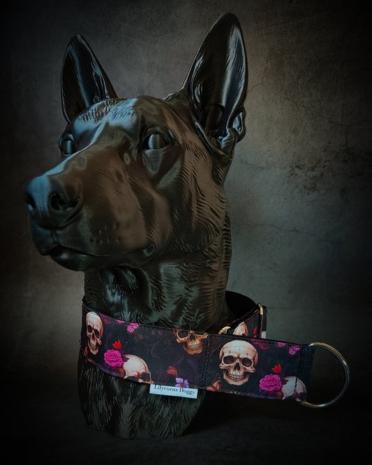 Collier pour chien - Renaissance