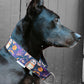 Collier pour chien - Nyra