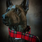 Collier pour chien - Automne Écossais