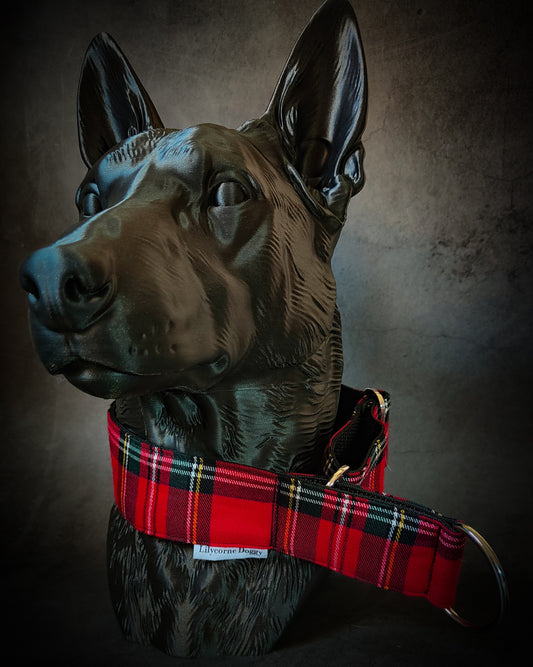 Collier pour chien - Automne Écossais