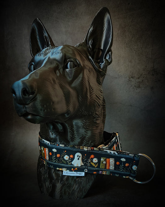 Collier pour chien - Le Fantôme de la Bibliothèque